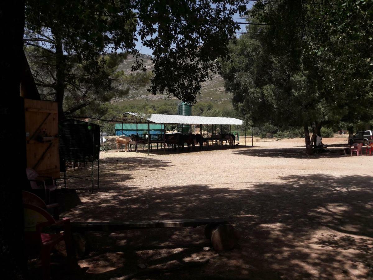 Sierra De Cazorla Villa Аройо Фрио Екстериор снимка